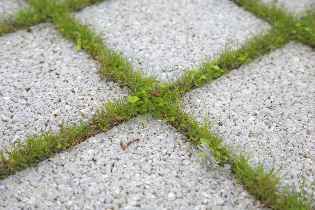 Pavé perméables Vivaô joints naturels